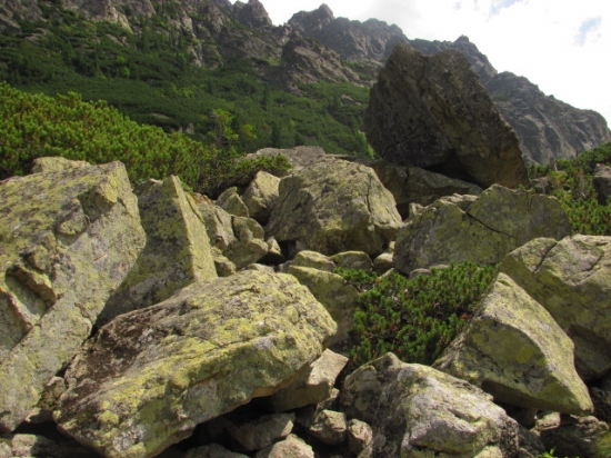 Tatry