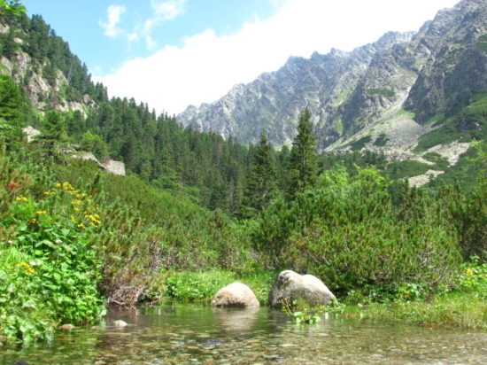 Tatranská príroda