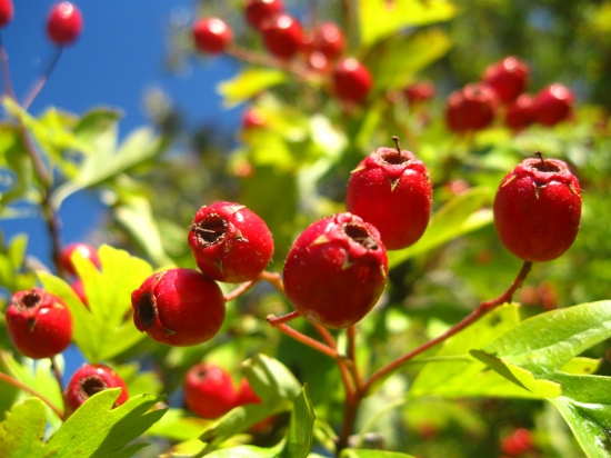 jeseň sa blíži...