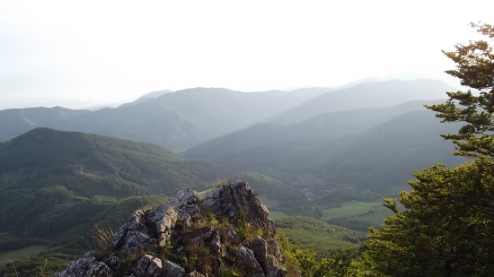 ráno