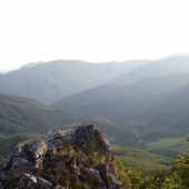 ráno