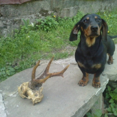 šťastný nalezca :)