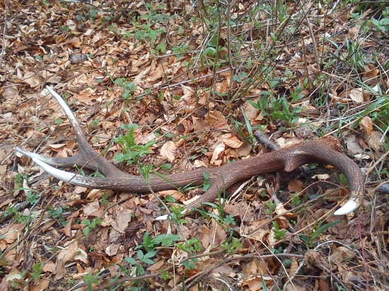 Aj take sa ešte daju najsť