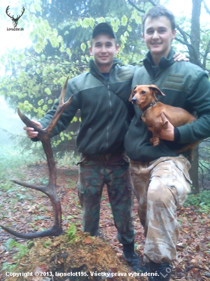 10-torak 2,5kg