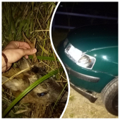 Auto ako zbraň :(