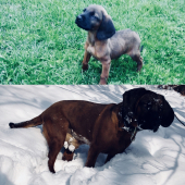 ART jeden a pól mesiaca a 7mesiacov