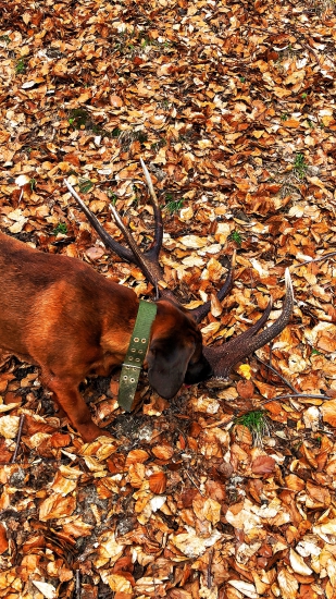 Art a jeho prvý zhod :)14-torak