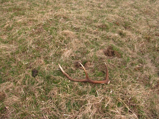 =D len tak som zakopol