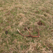 =D len tak som zakopol