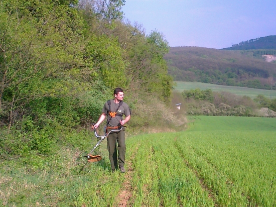 Čistenie okolo posedu