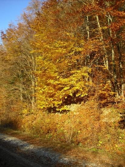 jeseň