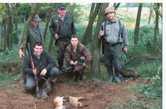 Jarné tlmenie škodnej