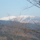 pohlad na prasivu