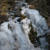 ladopad