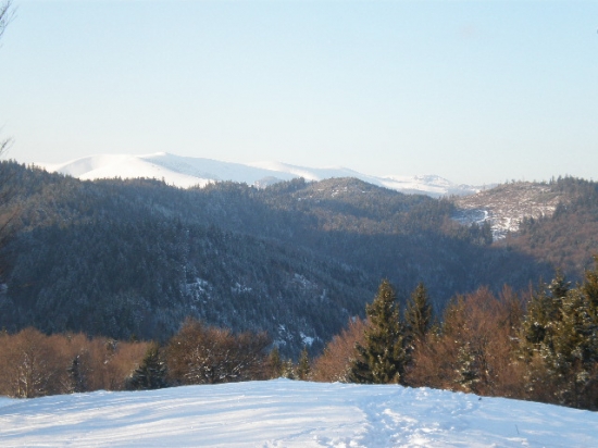 kopcek