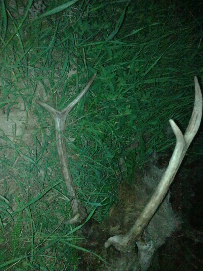 Keď sa darí..., tak sa darí...