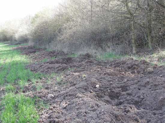 Hľadanie pokladu...