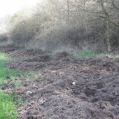 Hľadanie pokladu...