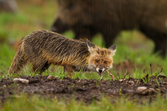 stále mám pocit, že ma niekto sleduje...