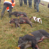 Spoločná vo Vrbovciach