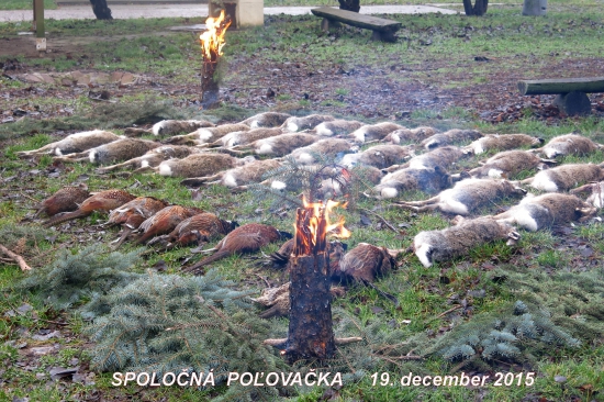 Výrad zo spoločnej poľovačky