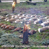 Výrad zo spoločnej poľovačky