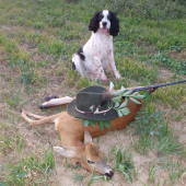 Gombičkár z Kopčian