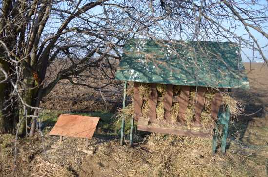 Nech majú čo dzobnúť....