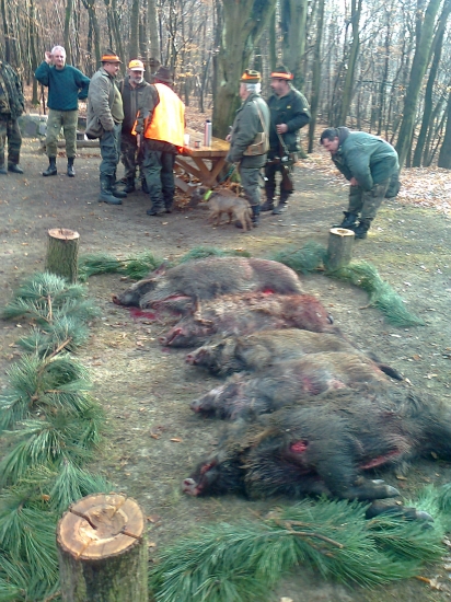 Spoločná polovačka PZ-Velčice