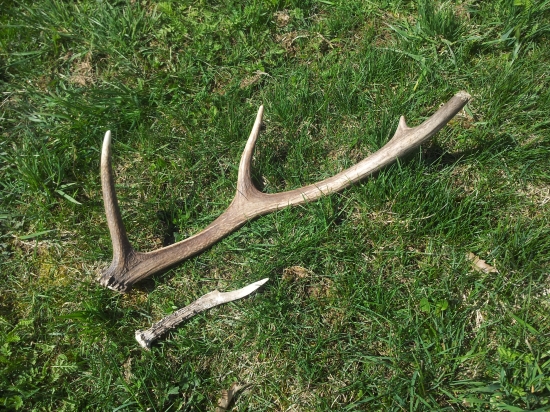 dnešná prechádzka - poteší každý nájdený zhod