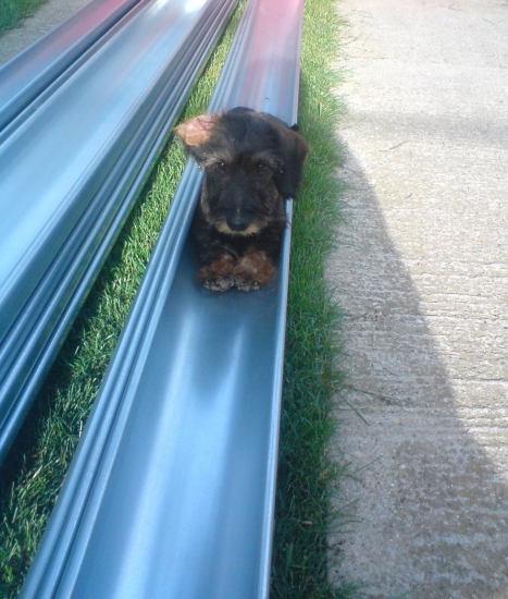 Benkov oddych v ríne