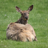 uz ma má ale ja ju tiez :D