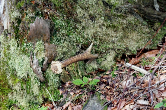 najkrajší pohlad tohto týždňa :)))