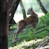najkrajsie obdobie :))) clovek az omladne:))