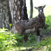 mení sveter za plavky :D