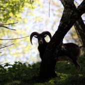 eeeeej ale sa kryl :D