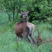 EEEEJJ Mna sa ti nepodarí zviest :D