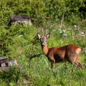 Krásny výradík :) mmmm fajnový :)))