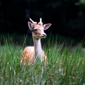 ej ale sa zadarilo :D