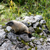 najšpekatejší som tu ja :D