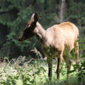 vzajomné prekvapenie :)