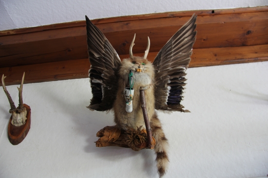 tak takúto trofej by chcel kazdý