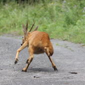 momentka jak svina :D (aneb ked sa plazím po betóne nik ma nevidí )