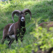 pana je mu co závidiet chlapi :D:D:D:D