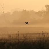bez komentára uplna lahoda :))
