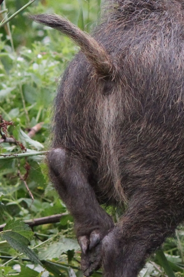 dnes mi bolo naznacené čo im mozem :D