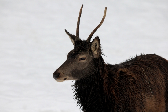 po návsteve bufetu :D