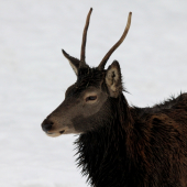 po návsteve bufetu :D