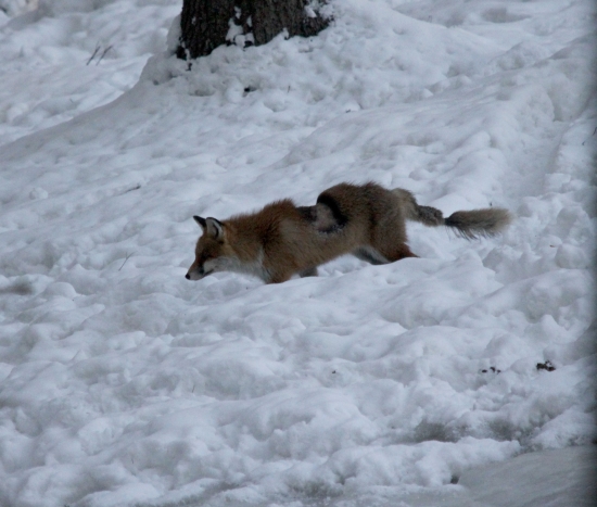 hroza za  tmy.... sa objavila...