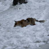 hroza za  tmy.... sa objavila...